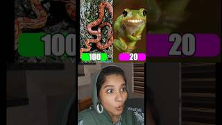 Which animal has more teeths funny tamallureaction shortsfeed reactionvideo animals viralr [upl. by Anirba]