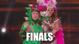 Piff the Magic Dragon Comedic Magician Americas Got Talent 2015 Finals｜GTF [upl. by Mori861]