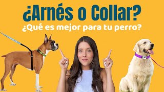 ¿ARNÉS O COLLAR  ¿Cuál es mejor para mi perro  Lauvet [upl. by Olshausen]