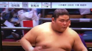 March 2024  Day 12  Juryo Hakuoho v Tsushimanada [upl. by Ephrem452]