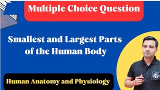 HAP Multiple Choice Question Smallest and Largest Parts of the Human Body [upl. by Novled]