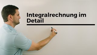 Integralrechnung im Detail Flächenberechnung Übersicht Integrale  Mathe by Daniel Jung [upl. by Aisereht125]