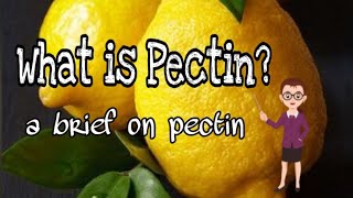 What is pectin Learn it and boost your knowledge [upl. by Ymmor773]