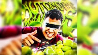 DJ BRZ 013  Automotivo Mangos 1 HOUR [upl. by Omolhs]