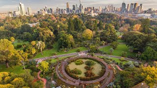 Discover Royal Botanic Gardens Victoria [upl. by Hereld]