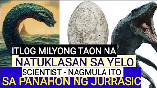 ANAK NG HIGANTENG MARINE REPTILE AYON SA SCIENTIST MILYON TAON NG ITLOG NAKABAON SA YELO ANTARCTICA [upl. by Kenwrick234]