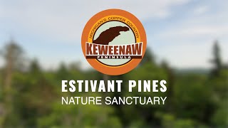 Estivant Pines Nature Sanctuary  Experience the Keweenaw [upl. by Emmalynne267]