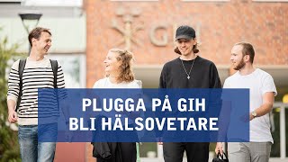 Plugga på GIH  Bli hälsovetare [upl. by Ciredec]