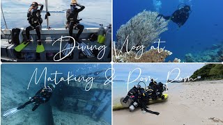 Diving Vlog at Mataking amp Pom Pom Sabah [upl. by Netsirhk]