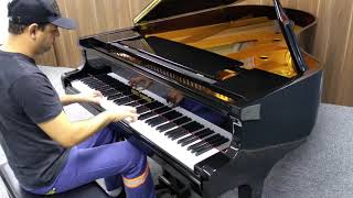 Piano Fritz dobbert de 100 mil reais [upl. by Layne490]