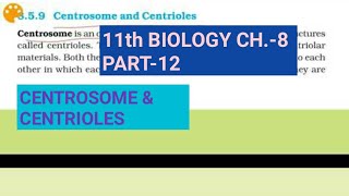 Class 11 biology Ch8Part12Centrosome amp centriolesStudy with Farru [upl. by Ronoh]