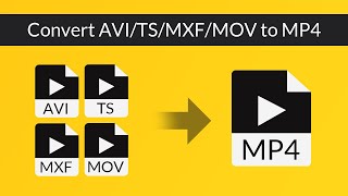 MTS Converter  How to Converter TSMTSM2TS to MP4AVIMKV [upl. by Oiluig]