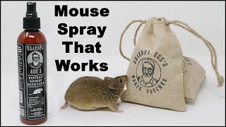 How To Evict Mice From Your Vehicle Grandpa Gus Mouse Spray Works and Smells Great Mousetrap Monday [upl. by Imelida]