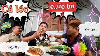 Quốc Bẻm cho Phúc ăn ẩm Thực Cá Lóc từ Hầm Phân Heo Nhà Thiết [upl. by Anisamoht401]