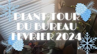 Plant tour du bureau  février 2024 [upl. by Ecire561]