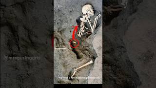 Penemuan Arkeologi Luar Biasa Di Pompeii Italia sejarah faktaunik misteri [upl. by Kragh267]