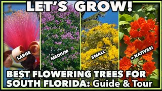 BEST FLOWERING TREES FOR FLORIDA GARDENS [upl. by Narat]