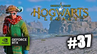 Mr X plays HOGWARTS LEGACY  part 37 Live Gameplay amp Spellcasting Fun [upl. by Alaster]