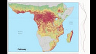 Fluctuations Triggers Ebola Virus Spillover [upl. by Enileda588]