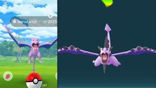 Mega Aerodactyl in mountain power Mega evolution of the Rock [upl. by Macilroy]