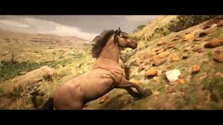 Red Dead Redemption 2  The Wild Horse National Geographic [upl. by Ahsema]