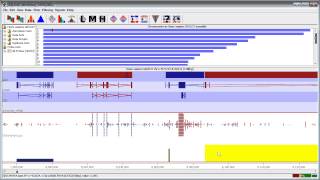 Identifying antisense transcription with seqmonk [upl. by Wharton]