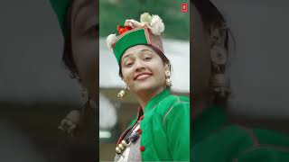 Dil Maange More himachalishorts himachalilokgeet ytshortsvideo himachalisong newsong [upl. by Attener]