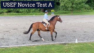 2022 USEF Novice Test A  Thornridge Manor  Charlie 06182022 [upl. by Hyde]