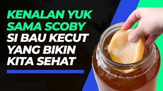 Kenali Cara Membuat Scoby Si Biang Kombucha yang Punya Segudang Manfaat [upl. by Anelas]