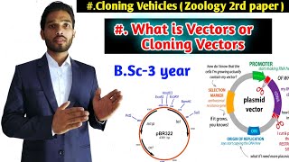 Cloning Vectors  Expression vector  BSc 3rd year Zoology second paper  Biotechnology [upl. by Doowle]