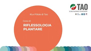 Corso di Riflessologia Plantare  Introduzione  Tao Scuola Nazionale di Massaggio® [upl. by Yrotciv]