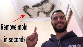 How to remove and kill mold  mould [upl. by Adnamaa]