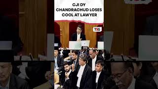 watch  CJI DY Chandrachud loses cool at lawyer during NEET hearing shorts viral [upl. by Mireille]