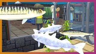 Cold Water Walkthrough  Megaquarium Freshwater Frenzy DLC [upl. by Magdala]