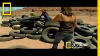 Puppies Rescued From Dump  National Geographic [upl. by Refitsirhc125]