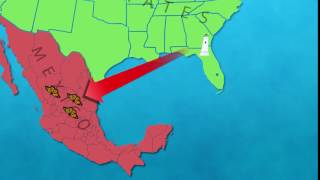 Monarch Migration South [upl. by Hilton]