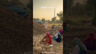 बाजरी का लाटा🌾 farming gaon villagelife rajasthan village youtubeshorts [upl. by Pamela]