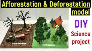 afforestation and deforestation model  science project model  afforestation  deforestation  diy [upl. by Reiko]