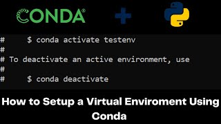 How to Setup a Virtual Environment Using Conda [upl. by Goldsmith568]