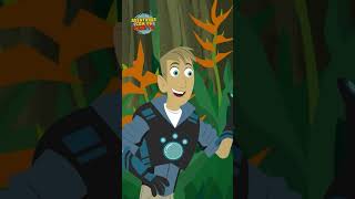 Ative os poderes da cobra episódios completos Aventuras com os Kratts [upl. by Publus41]