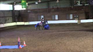 Australian Brumby Challenge VBA Mira Image Georgia Bates Freestyle [upl. by Starlene]