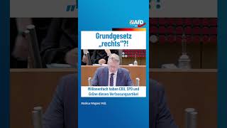 Grundgesetz „rechts“ afd ltnrw [upl. by Pirzada476]