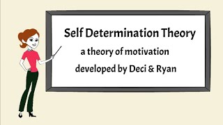 What is Self Determination Theory [upl. by Leind633]