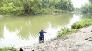 Chinook Salmon caught on the Nottawasaga River [upl. by Nett]