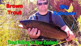 TROUT FISHING in KAINGAROA Forest BROWN amp RAINBOW in NZ Ep 204 [upl. by Anaibib]