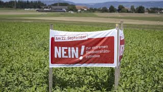 Referendum rejects plan to boost Switzerlands biodiversity [upl. by Nuahsed]