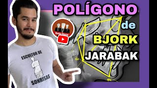 Polígono de Bjork Jarabak 📐🔥 Análisis Cefalométrico BjorkJarabak [upl. by Aitercul]