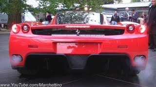 Loud Start Ups Ferrari Enzo vs 599XX vs F50 vs F40 vs GTO [upl. by Coben189]