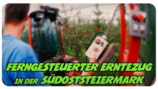 FERNGESTEUERTER ERNTEZUG in der Südoststeiermark  Apfelernte bei Familie Gsöls [upl. by Ayatnwahs936]