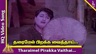 Tharaimel Pirakka Video Song  Padagotti Movie Songs  MGR  Saroja Devi  Pyramid Music [upl. by Olraced]